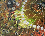 Interface - Interférence